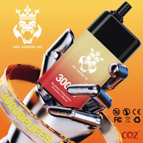 BANG KINGDOMS REX 30,000 Puffs Vape Dual Flavor