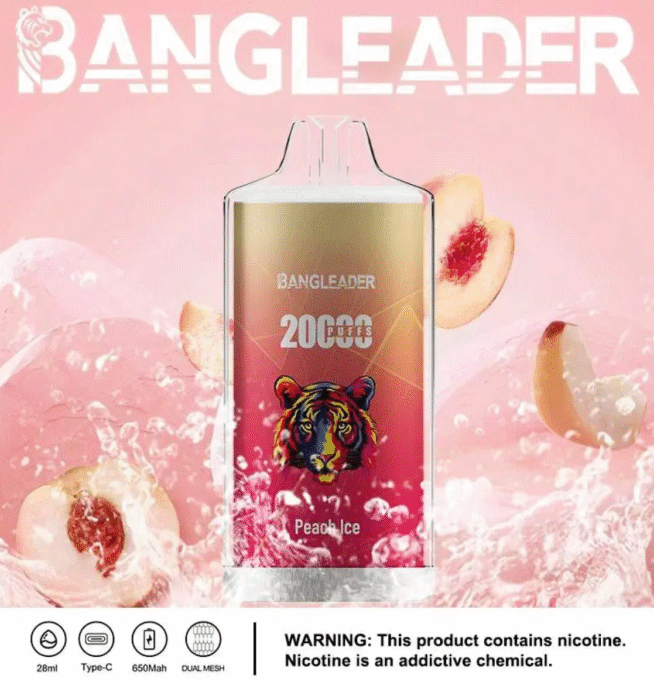 Bang Leader 20000 Puffs Product Disposable Vape - Image 6