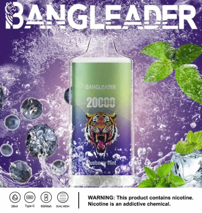 Bang Leader 20000 Puffs Product Disposable Vape - Image 5