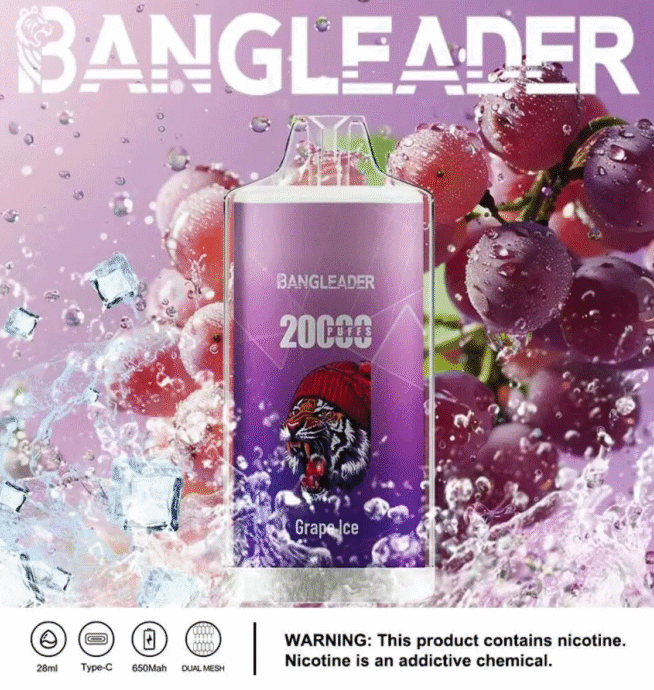 Bang Leader 20000 Puffs Product Disposable Vape - Image 4