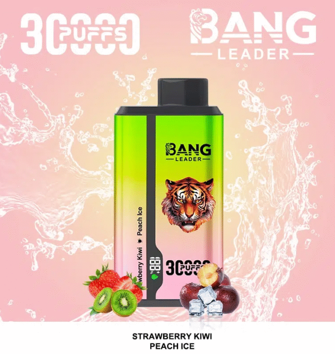 Bang Leader 30000 Dual Flavors Disposable Vape - Image 2