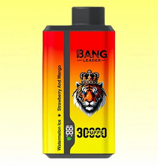 Bang Leader 30000 Dual Flavors Disposable Vape - Image 6
