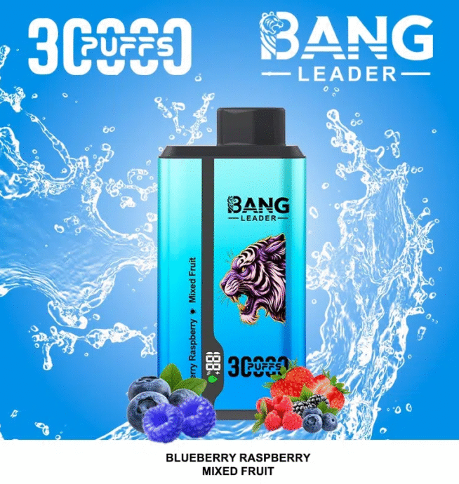 Bang Leader 30000 Dual Flavors Disposable Vape