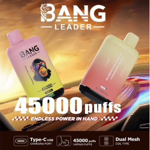 Bang Leader 45000: 45K Puffs Dual Flavor Vape