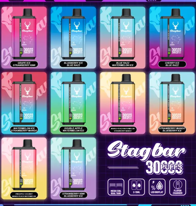 STAG BAR Gemini 30K Puffs Double Flavors LED Display - Image 6