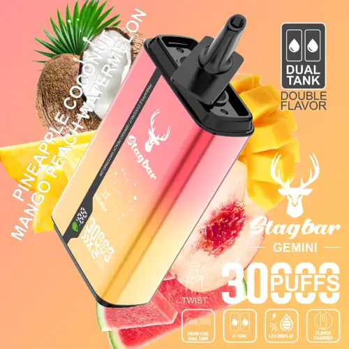 STAG BAR Gemini 30K Puffs Double Flavors LED Display