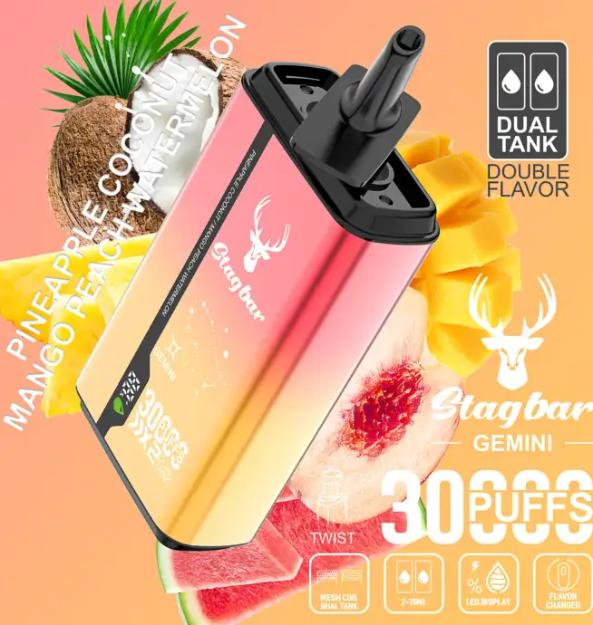 STAG BAR Gemini 30K Puffs Double Flavors LED Display